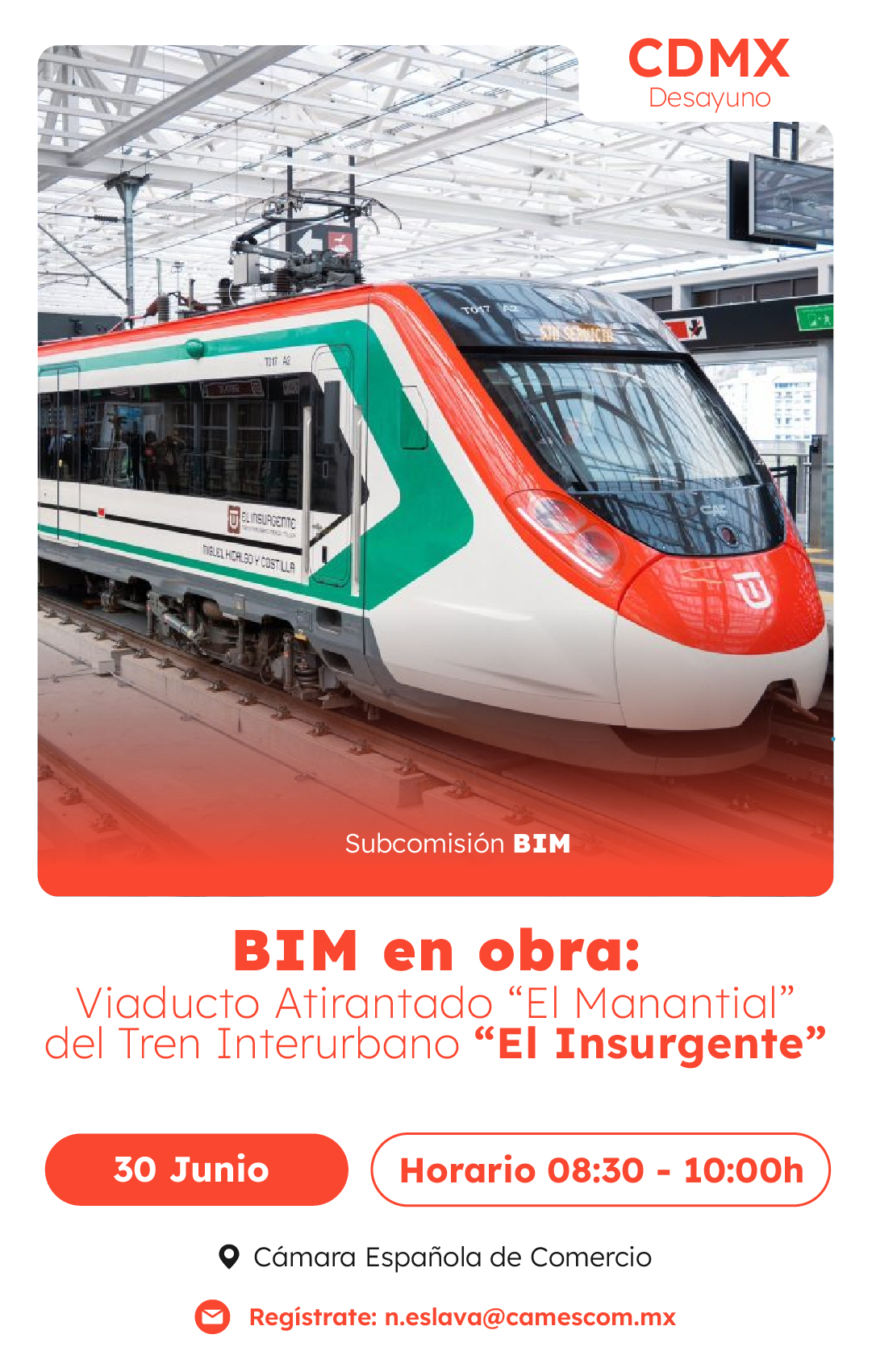 BIM en obra: Viaducto Atirantado “El Manantial” del Tren Interurbano “El Insurgente”